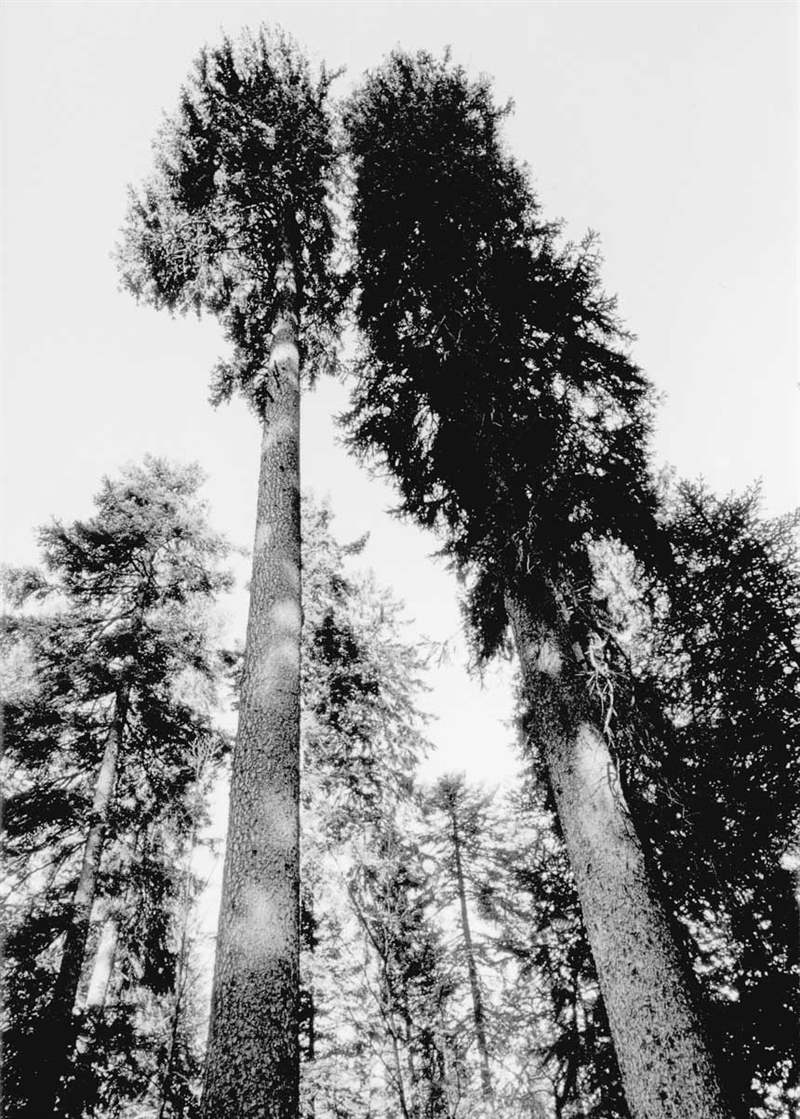 MB&F MusicMachine 2是星際迷航USS Enterprise的音樂頌歌-復刻表