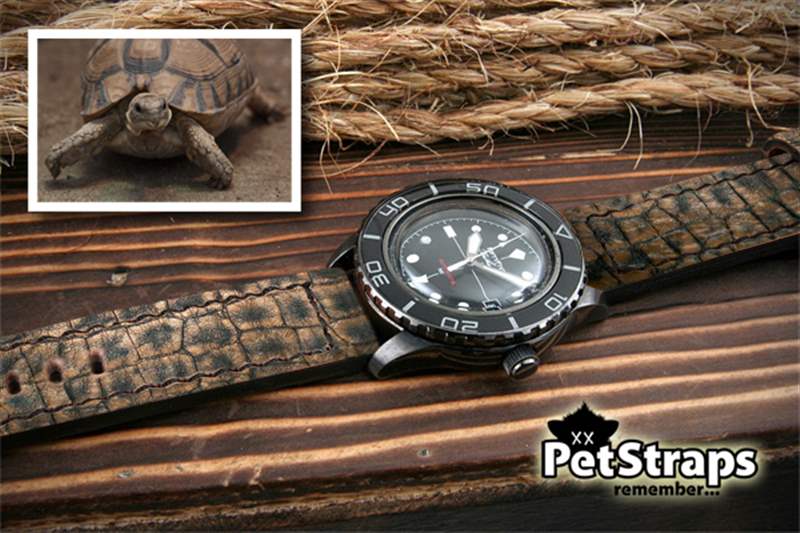 PetStraps:寵物伴侶的愛存在于……您的手腕上-復刻表