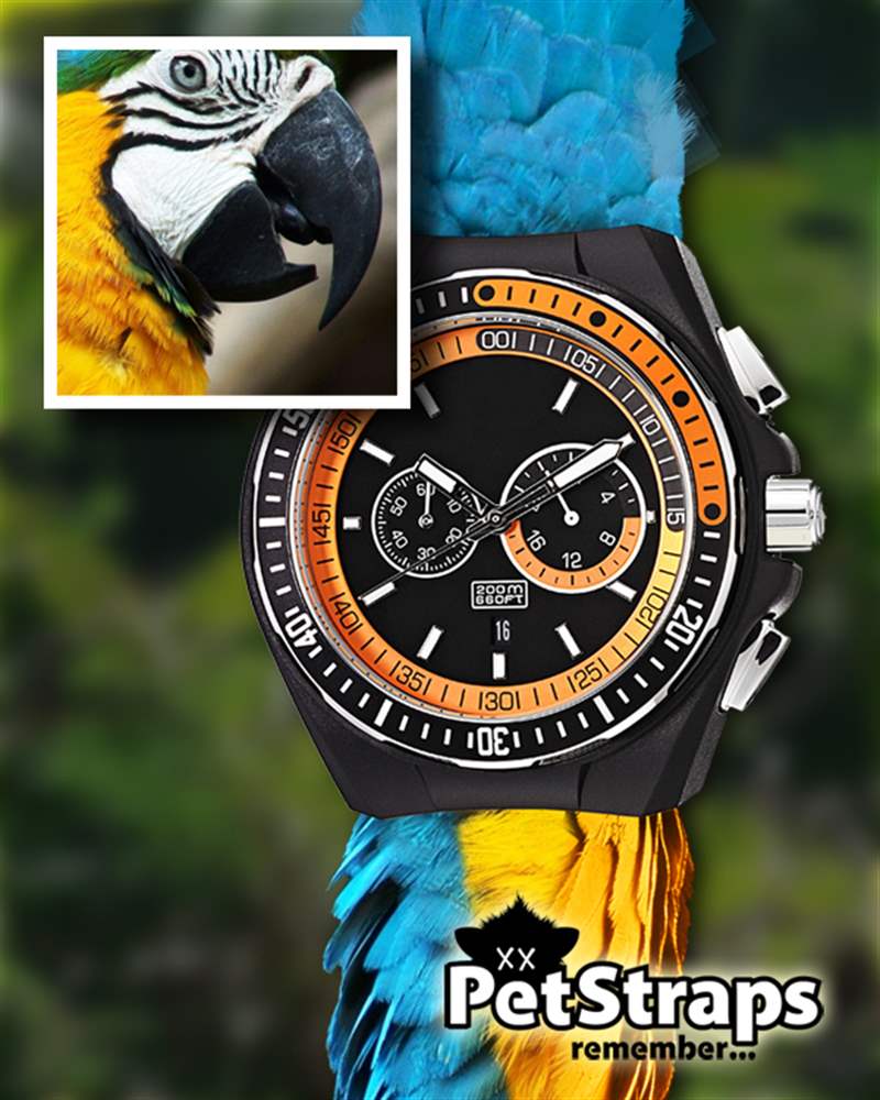 PetStraps:寵物伴侶的愛存在于……您的手腕上-復刻表